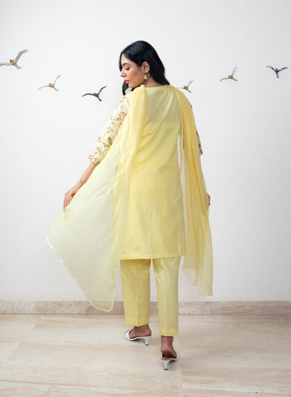 Classy Tunic Set With Chiffon Dupatta